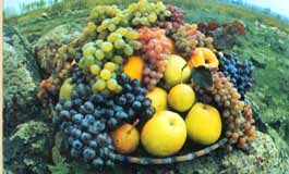 Из Армении экспортировано 48 тыс. тонн свежих плодов и овощей