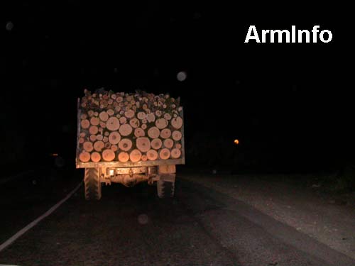 Ակտիվիստներ. Ստեփանավանի անտառտնտեսության տարածքում անօրինական կերպով հատվել է մոտ 1100 ծառ   