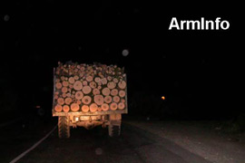 Активисты: В Степанаванском лесном хозяйстве незаконно вырублено 1100 деревьев