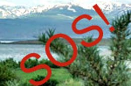 25 апреля инициатива "S.O.S. Севан" проведет шествие в защиту озера