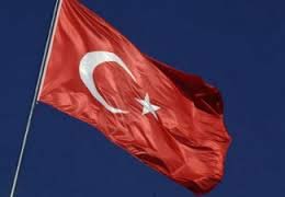 Глава отдела НАТО МИД Германии не верит, что Турция оказывает содействие боевикам ИГИЛ