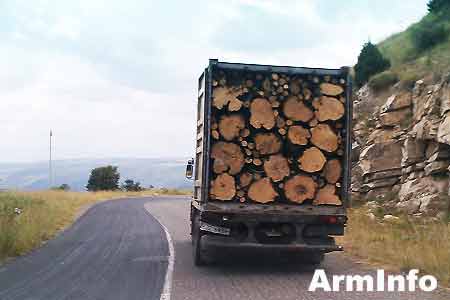 Министерство охраны природы выявило незаконную вырубку деревьев в национальном парке <Дилижан>