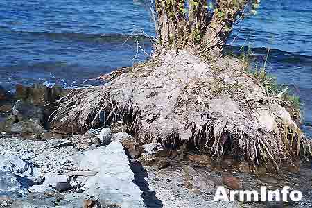  Ministry of Environment: Water bloom has started again on Lake Sevan  in Armenia this year