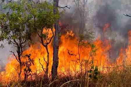 Nature Protection Ministry: new fires burnt in Armenian forests