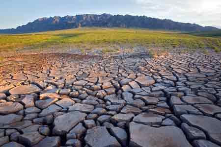 Problems related to desertification discussed in Yerevan