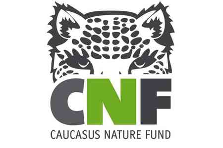Caucasus Nature Fund awarded Marsh Marjan Award for conservation in  Conflict Areas