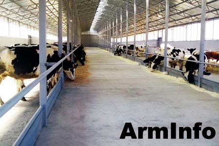 В Армении порядка 1 тысячи семей получат возможность за счет государственных средств заняться скотоводством и птицеводством