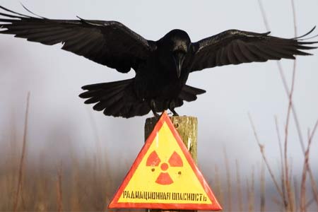 MPs of Armenian parliament looking for  "lost" article of law   regulating nuclear safety
