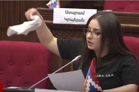 Депутат НС: повестка новой Конституции не имеет никакого отношения к повестке армянского народа