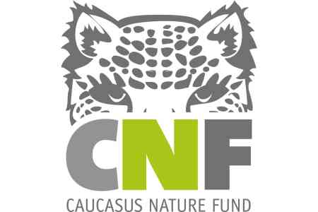 CNF invests over $1mln in nature protection projects in Armenia