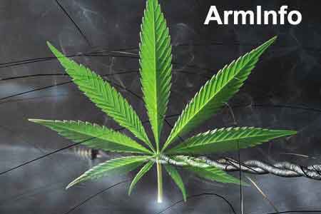 Armenian customs officers stop the smuggling attempt from the USA 2.7  kg of marijuana into the country