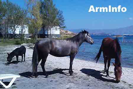 Germany, EU launch new water management program in Armenia - EU4Sevan+