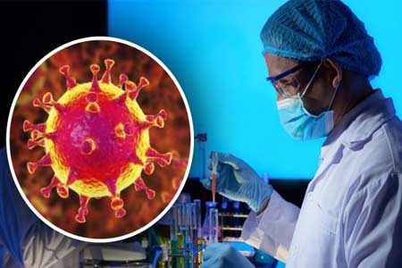 В Котайке за сутки выявлено 74 новых случая коронавируса