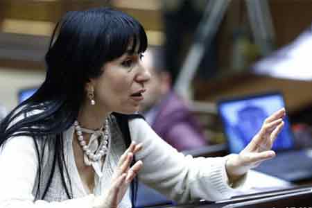Наира Зограбян заявила, что в ближайшее время против нее и депутата от ППА Геворка Петросяна могут возбудить уголовные дела