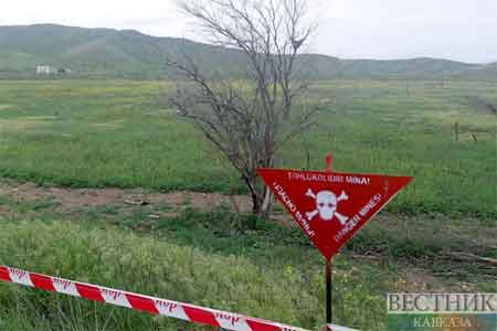 Армянская сторона передала Азербайджану 8 формуляров минных полей в направлении Мравского хребта