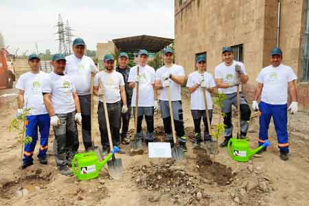 ARMENAL plant organizes environmental protection event Green Wave
