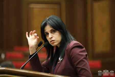 Mother Armenia party board member calls law enforcement`s attempts to prosecute her in absurd case of Andranik Tevanyan `insane`