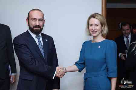 Mirzoyan, Kallas discuss Armenia-EU partnership agenda