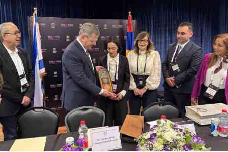 Armenia attaches great importance to strengthening cooperation with  Israel in education - Zhanna Andreasyan