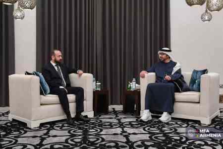 RA, UAE FMs discuss developing cooperation
