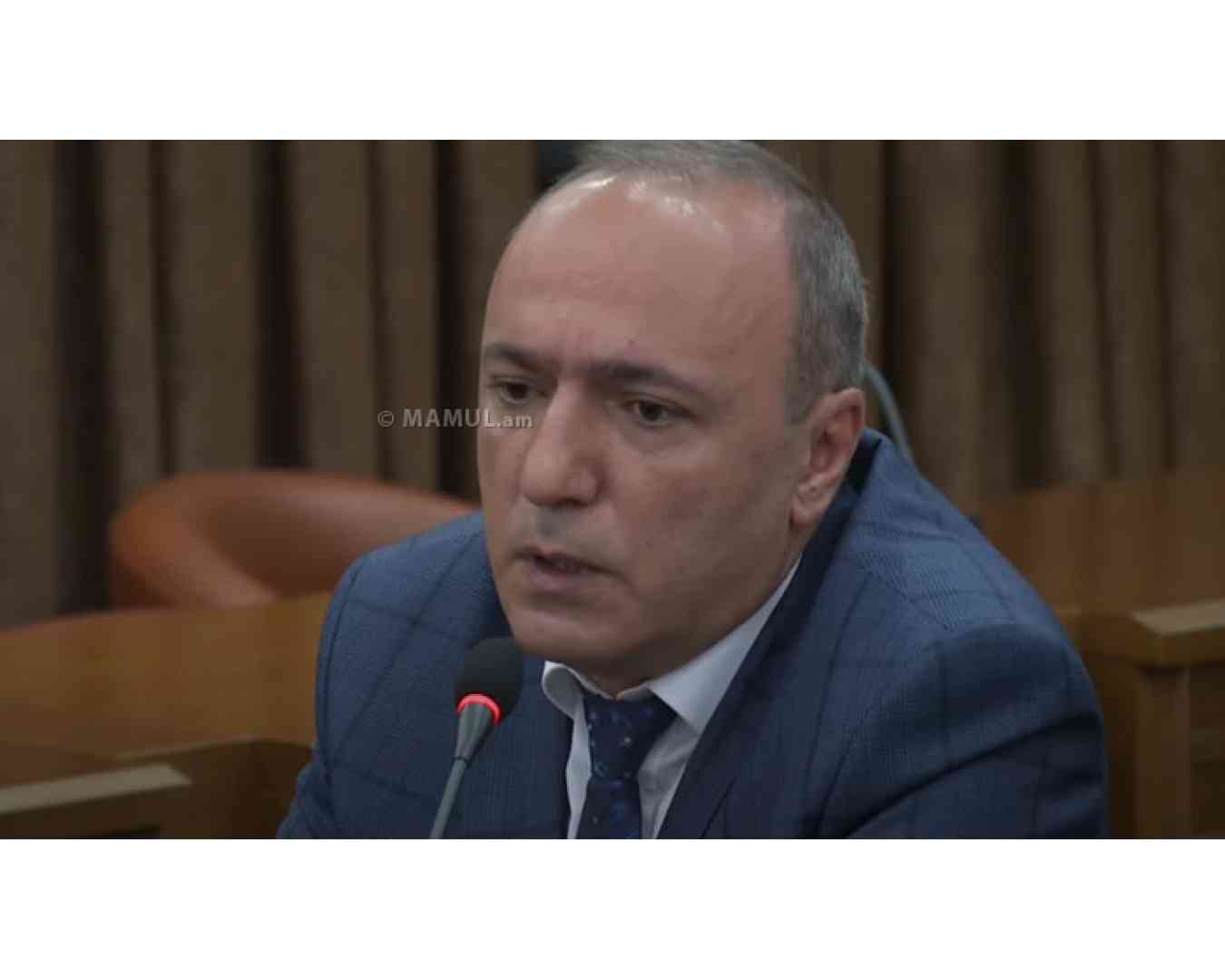 By end of 2025 Yerevan`s green spaces increased by 14.1 hectares -  Yerevan Municipality 
