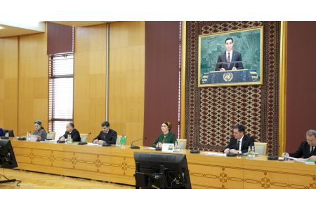 Practical steps to implement CEDAW recommendations in the field of gender equality discussed at the MFA of Turkmenistan