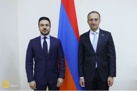 Катар рассматривает возможность оказания содействия Армении в процессе внедрения модели малых групповых домов для лиц с инвалидностью
