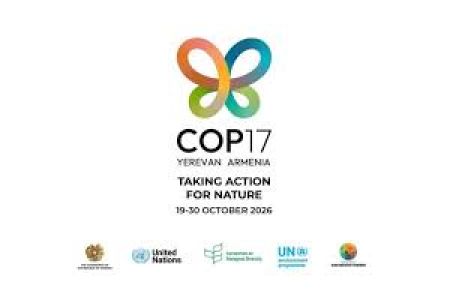 Въезд в Армению для участников COP-17 будет облегчен
