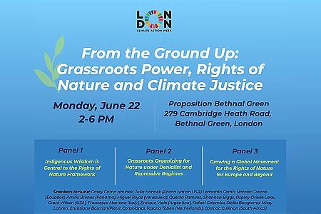 Armenia participates in London Climate Action Week (LCAW) World  Congress