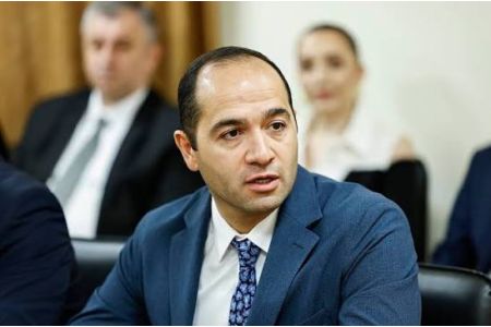 Это политизированная оценка: Давид Тадевосян прокомментировал репортаж российских СМИ о фабрике ИИ Firebird