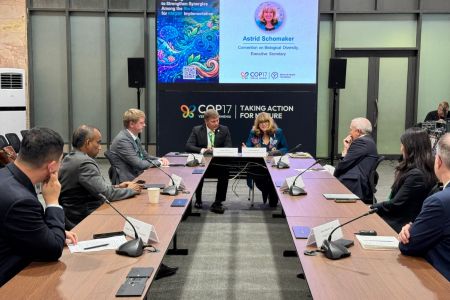 В Ереване обсудили воздействие ИИ на биоразнообразие в рамках COP17